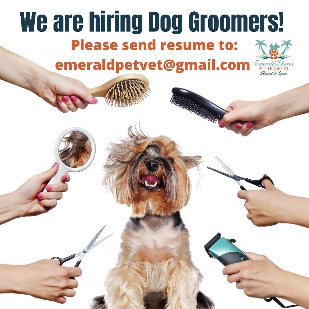 We are hiring Dog Groomers!