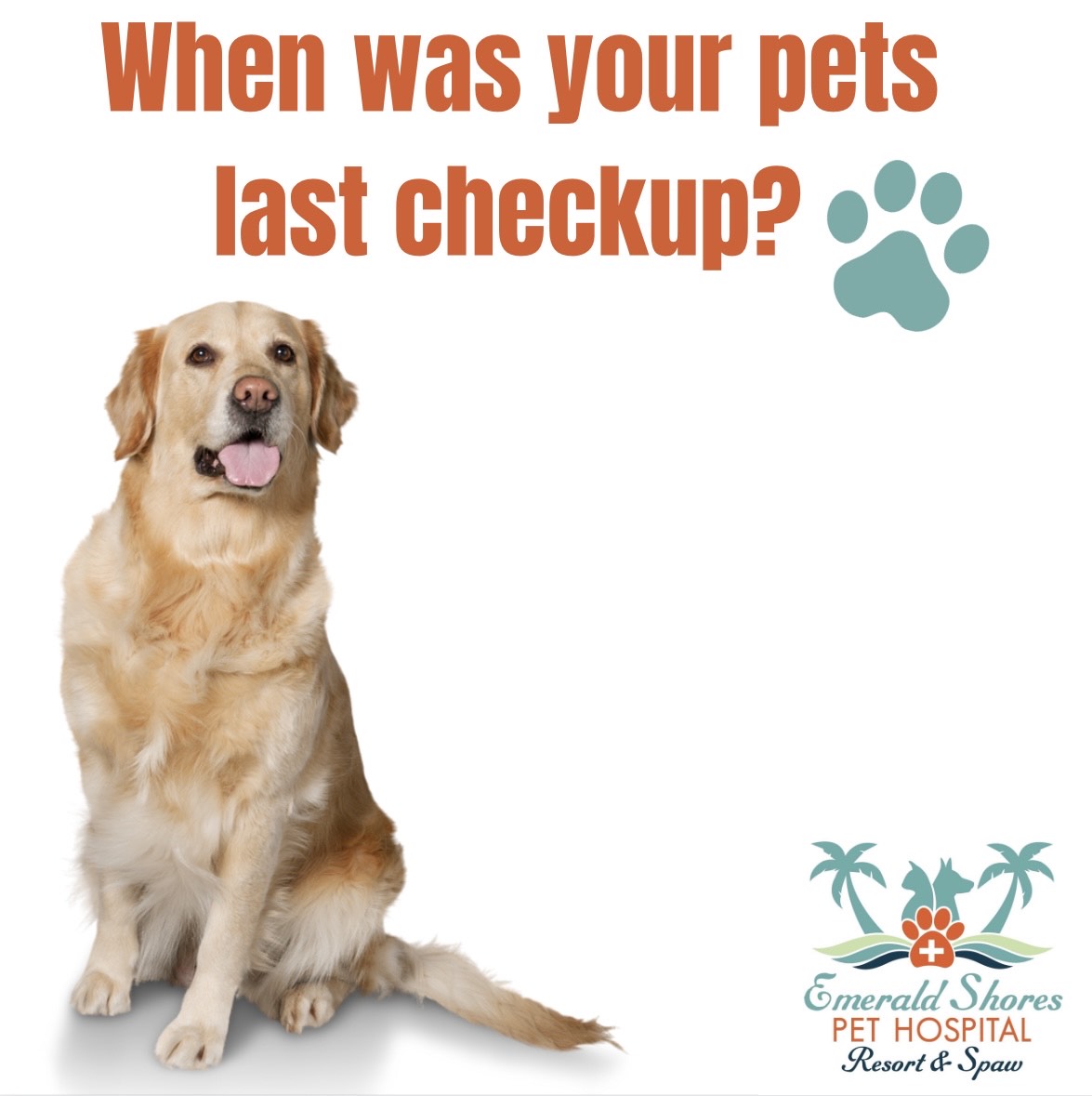 When was your pets last checkup?